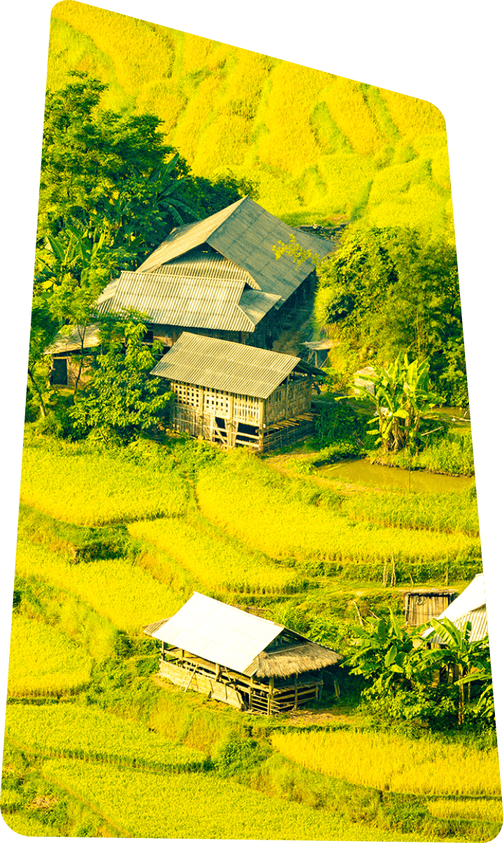 地域ならではの食、自然、伝統、文化を体験