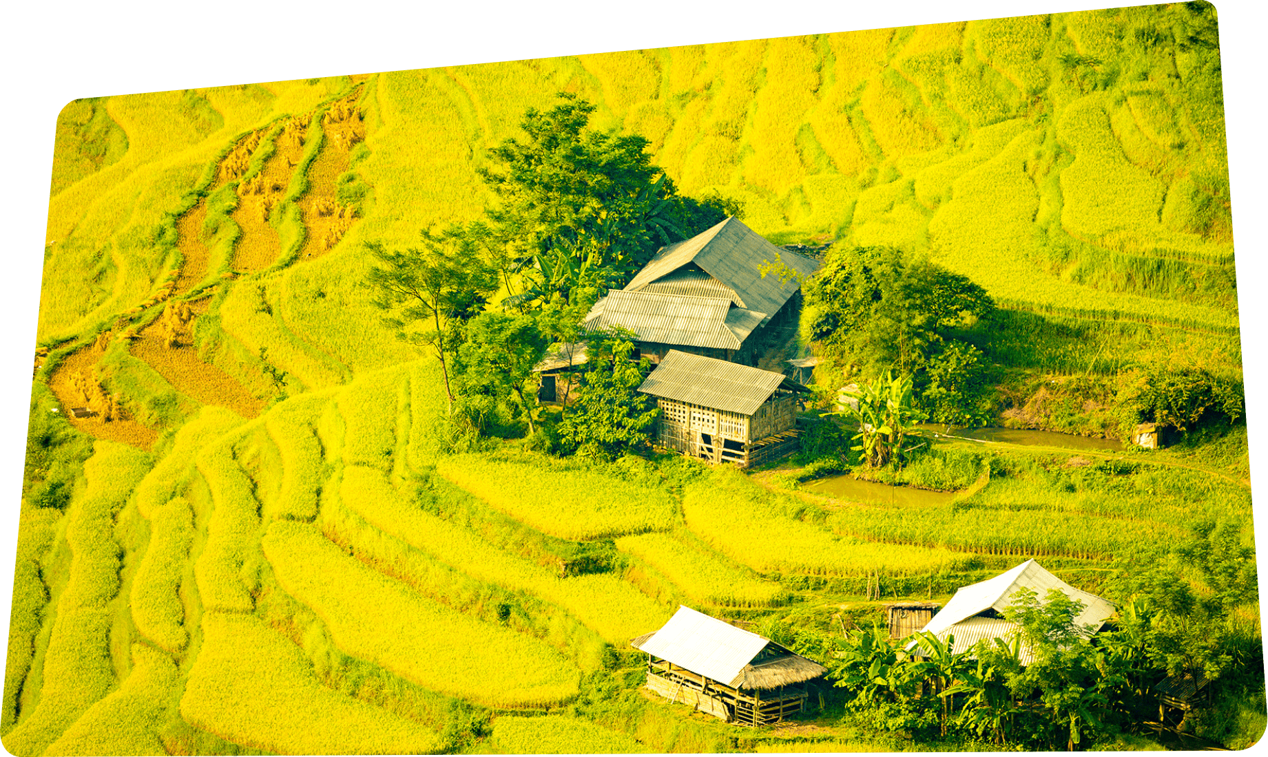 地域ならではの食、自然、伝統、文化を体験