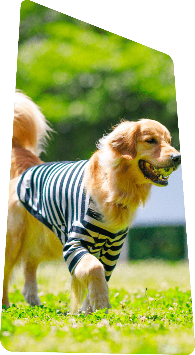 愛犬と共に過ごす、上質で特別な休日を。