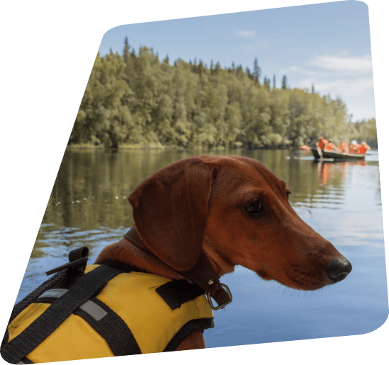 愛犬と共に過ごす、上質で特別な休日を。